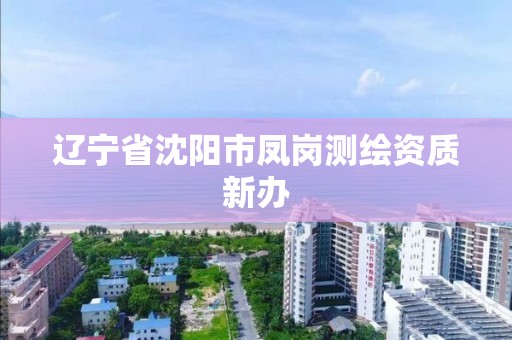 辽宁省沈阳市凤岗测绘资质新办