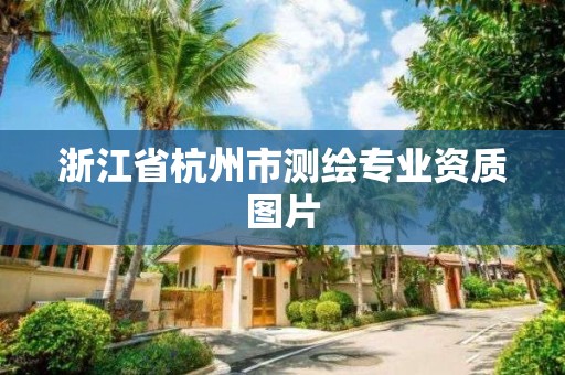 浙江省杭州市测绘专业资质图片