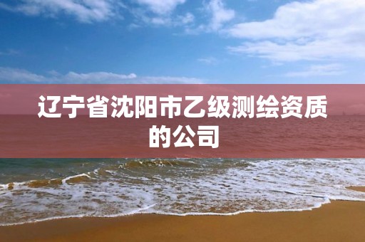 辽宁省沈阳市乙级测绘资质的公司