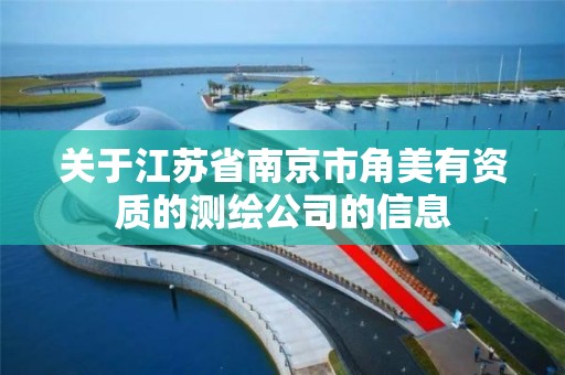 关于江苏省南京市角美有资质的测绘公司的信息