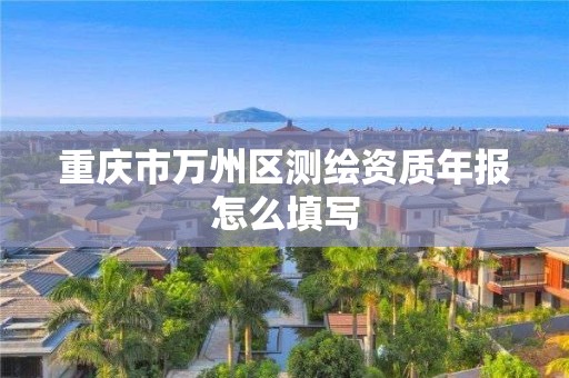 重庆市万州区测绘资质年报怎么填写