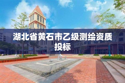 湖北省黄石市乙级测绘资质投标