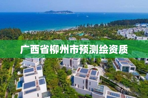 广西省柳州市预测绘资质