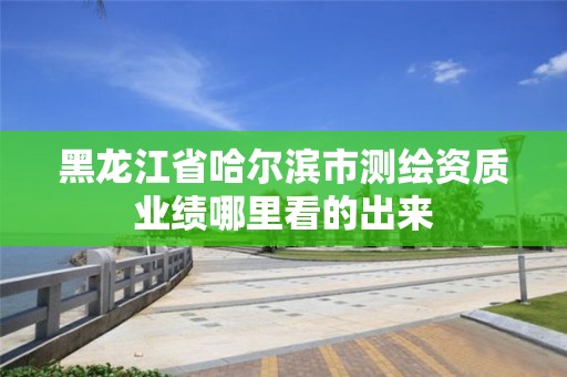 黑龙江省哈尔滨市测绘资质业绩哪里看的出来