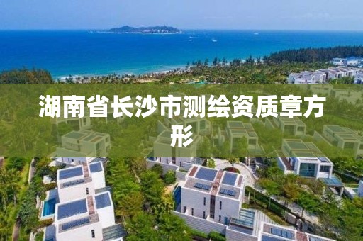 湖南省长沙市测绘资质章方形