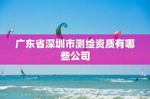 广东省深圳市测绘资质有哪些公司