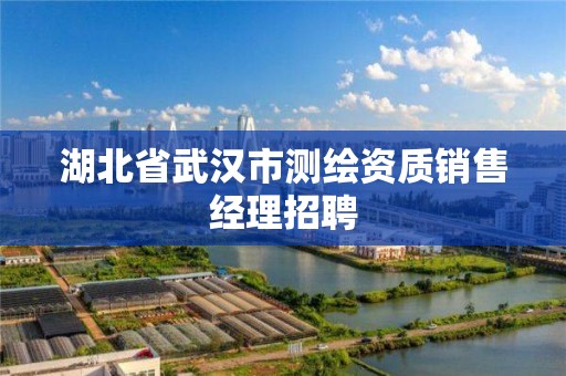 湖北省武汉市测绘资质销售经理招聘