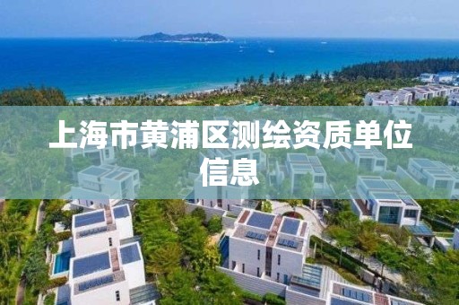 上海市黄浦区测绘资质单位信息