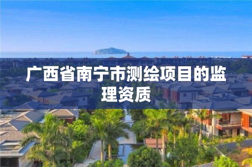 广西省南宁市测绘项目的监理资质