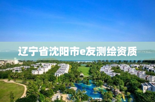 辽宁省沈阳市e友测绘资质