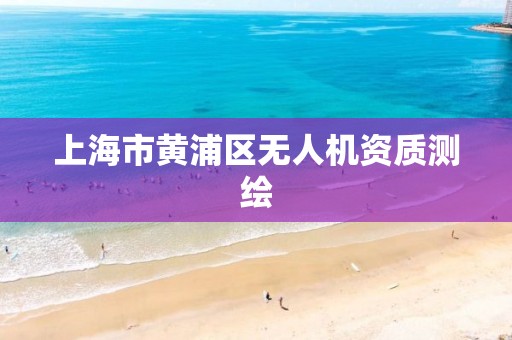 上海市黄浦区无人机资质测绘