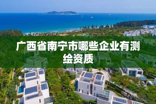 广西省南宁市哪些企业有测绘资质