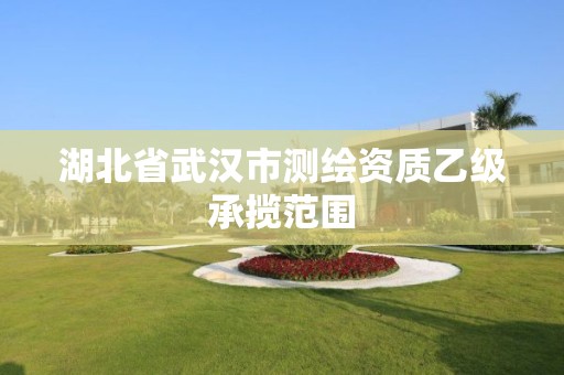 湖北省武汉市测绘资质乙级承揽范围