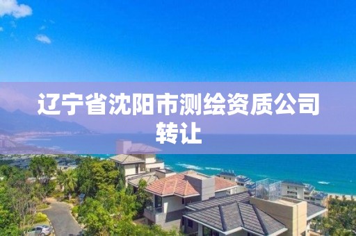 辽宁省沈阳市测绘资质公司转让