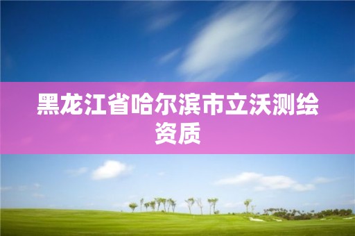 黑龙江省哈尔滨市立沃测绘资质