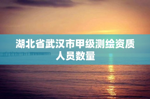 湖北省武汉市甲级测绘资质人员数量