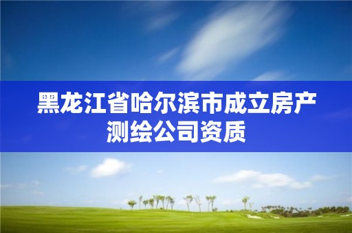 黑龙江省哈尔滨市成立房产测绘公司资质