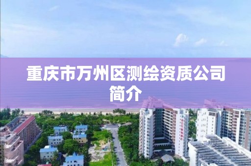 重庆市万州区测绘资质公司简介