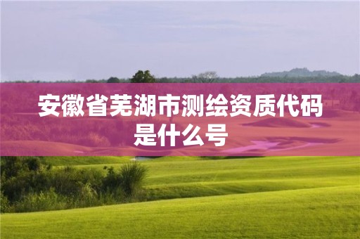 安徽省芜湖市测绘资质代码是什么号