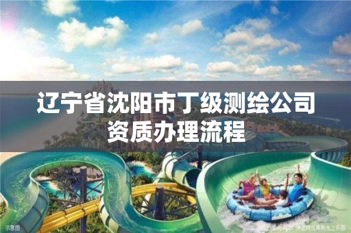 辽宁省沈阳市丁级测绘公司资质办理流程