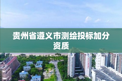 贵州省遵义市测绘投标加分资质