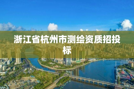 浙江省杭州市测绘资质招投标