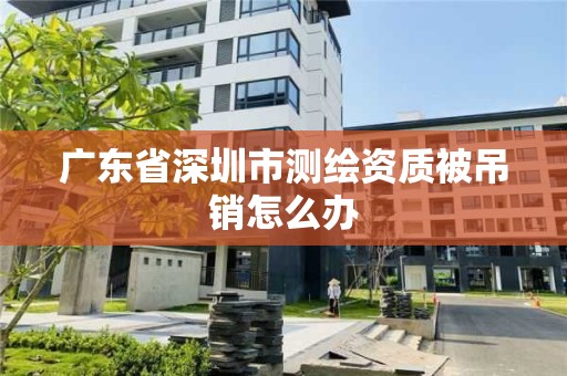 广东省深圳市测绘资质被吊销怎么办