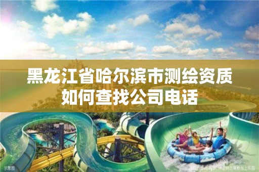 黑龙江省哈尔滨市测绘资质如何查找公司电话