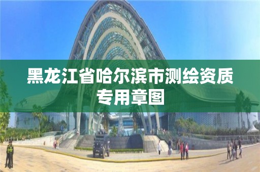 黑龙江省哈尔滨市测绘资质专用章图