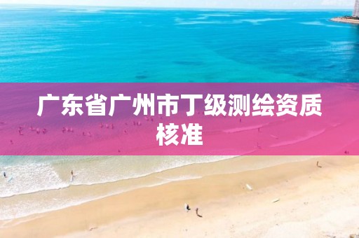 广东省广州市丁级测绘资质核准