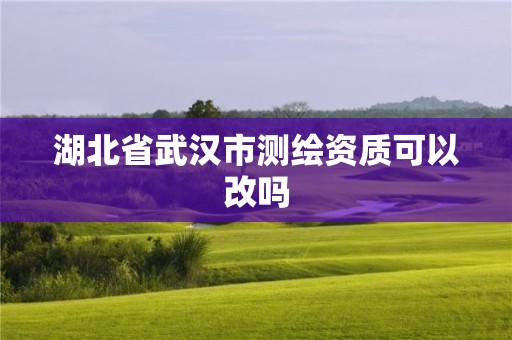 湖北省武汉市测绘资质可以改吗