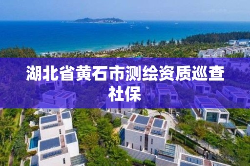 湖北省黄石市测绘资质巡查社保