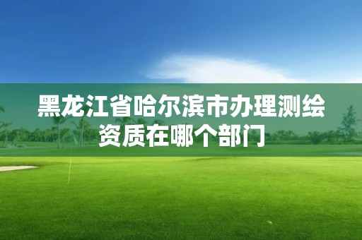 黑龙江省哈尔滨市办理测绘资质在哪个部门