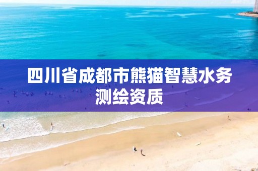 四川省成都市熊猫智慧水务测绘资质