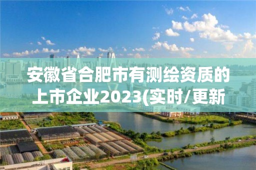 安徽省合肥市有测绘资质的上市企业2023(实时/更新中)