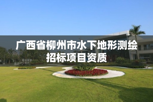 广西省柳州市水下地形测绘招标项目资质