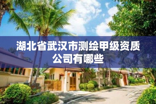 湖北省武汉市测绘甲级资质公司有哪些