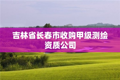 吉林省长春市收购甲级测绘资质公司