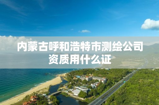 内蒙古呼和浩特市测绘公司资质用什么证