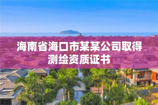 海南省海口市某某公司取得测绘资质证书