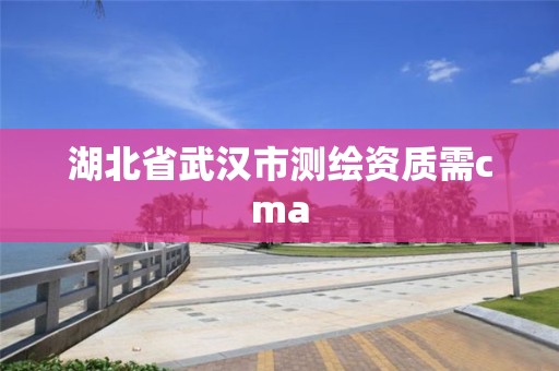 湖北省武汉市测绘资质需cma