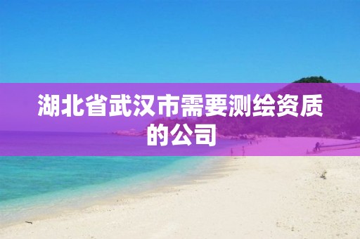 湖北省武汉市需要测绘资质的公司