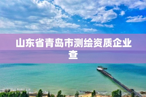 山东省青岛市测绘资质企业查