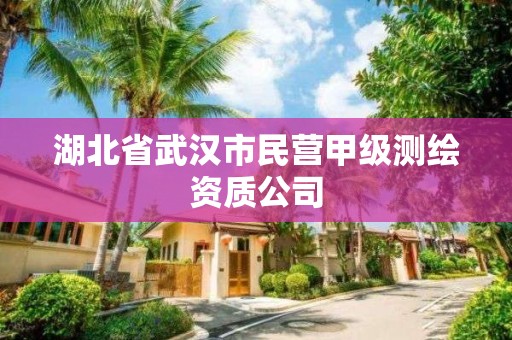 湖北省武汉市民营甲级测绘资质公司