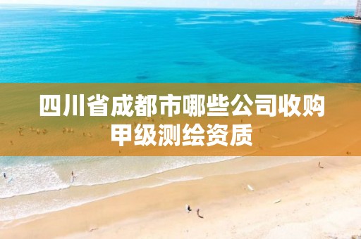 四川省成都市哪些公司收购甲级测绘资质