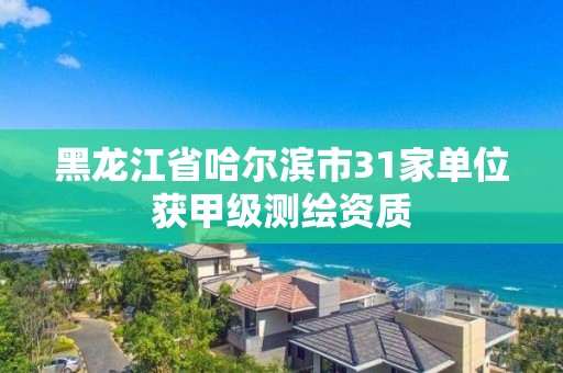 黑龙江省哈尔滨市31家单位获甲级测绘资质