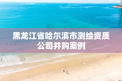 黑龙江省哈尔滨市测绘资质公司并购案例