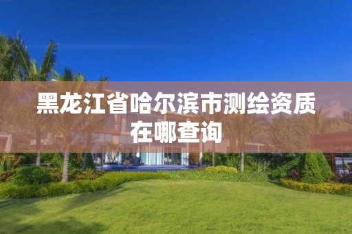 黑龙江省哈尔滨市测绘资质在哪查询