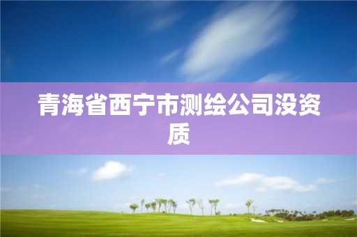 青海省西宁市测绘公司没资质