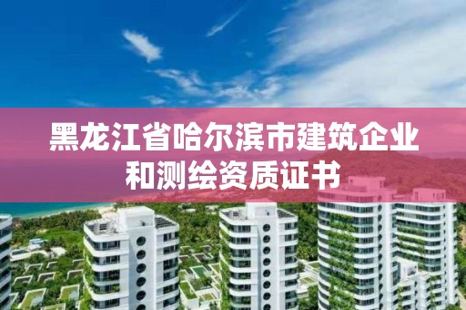 黑龙江省哈尔滨市建筑企业和测绘资质证书